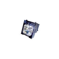 Infocus Replacement Lamp For Projectors (SP-LAMP-039)